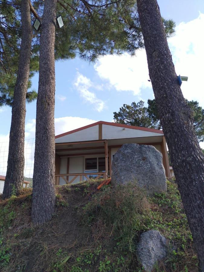 Camping Tikiti Propriano  Exterior foto